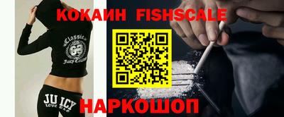 гидра Кандалакша