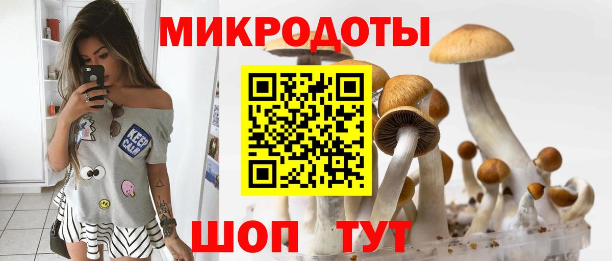 Кстово  Галлюциногенные грибы Magic Shrooms  Вход с VPN 